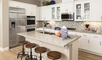 forest-cabinetry-countertops-parkview-at-sterling-meadows-elk-grove-ca