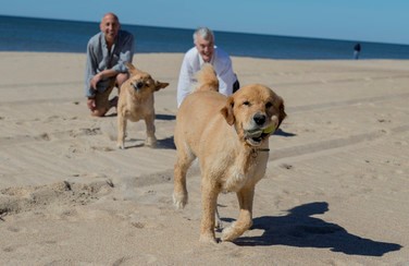 Couple with dogs 50-50 805x453
