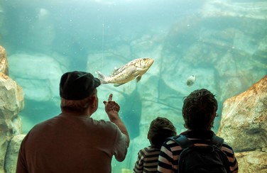 4 Cleveland Aquarium 805 x 453