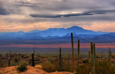 4 58571_Sonoran Desert Landscape 1640 x 923
