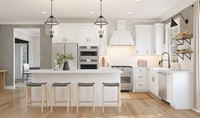 126969_Townes at West Windsor_Downeaster_Kitchen_Farmhouse_Palette 5_Level 3_Farmhouse Rustic Refined