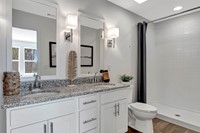 97167_Aspire at Auld Farms_Bluebell_Owners Bath_Loft_Palette 2_Aspire